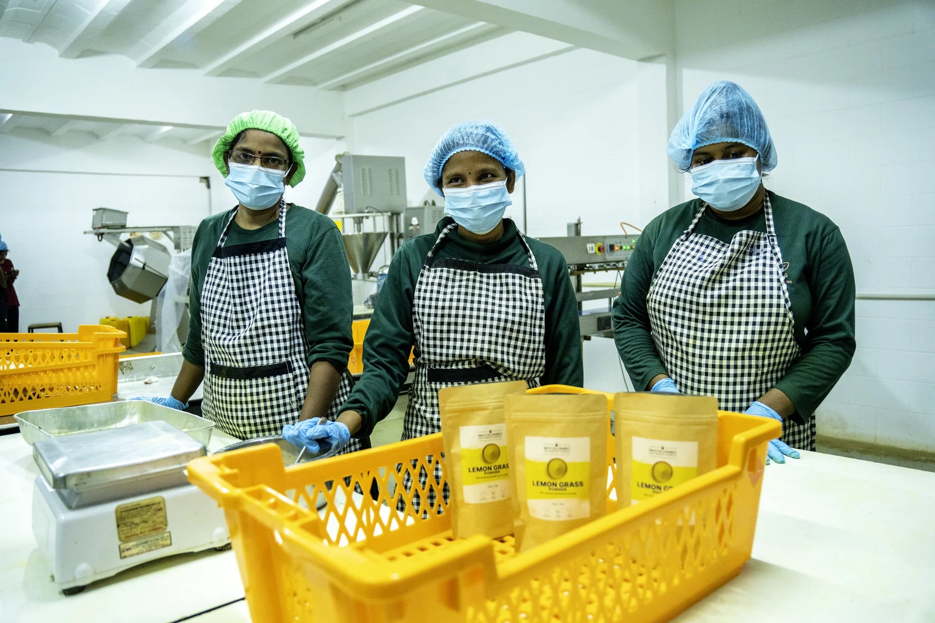 Drei Mitarbeiterinnen in Schutzkleidung am Abfüllplatz mit MrCOLOMBO Lemon Grass Pulver-Tüten - finale Sichtprüfung vor dem Versand in Sri Lanka